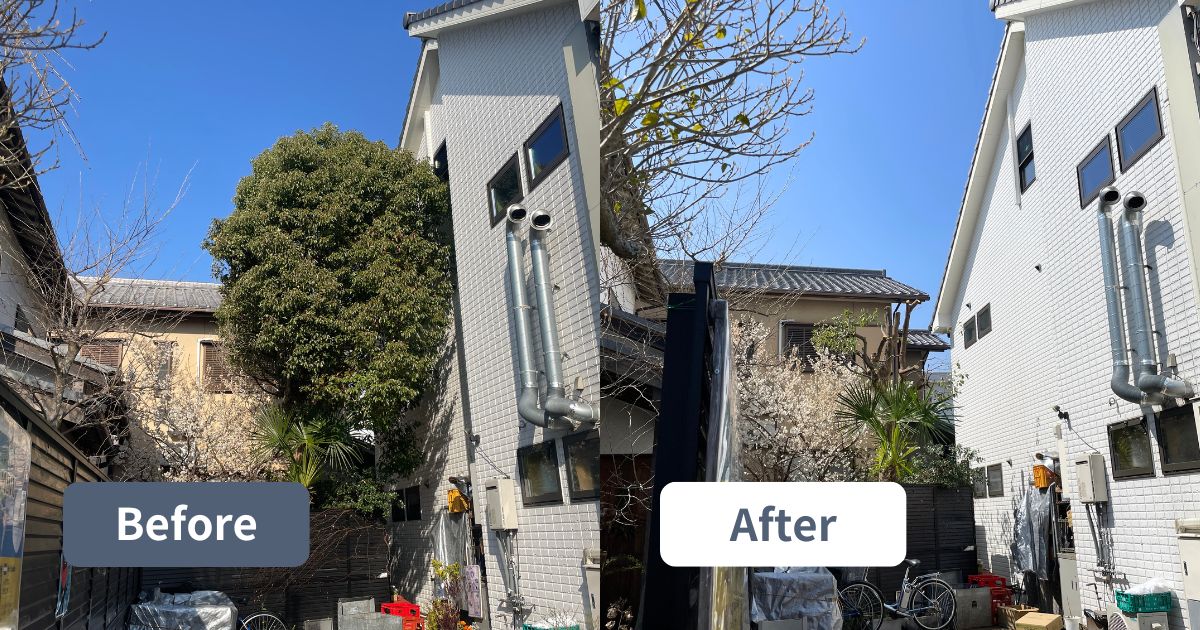 10m超のクスノキを強剪定しました。この時期がベスト｜奈良県奈良市