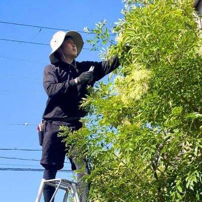 植木の剪定をしている代表・出山はじめ（庭師）の写真