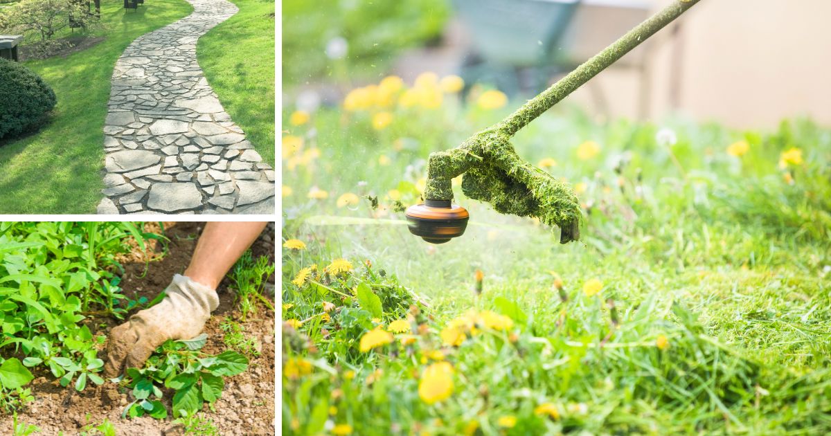 草刈り、草抜き、きれいに雑草処理されたギャラリー写真
