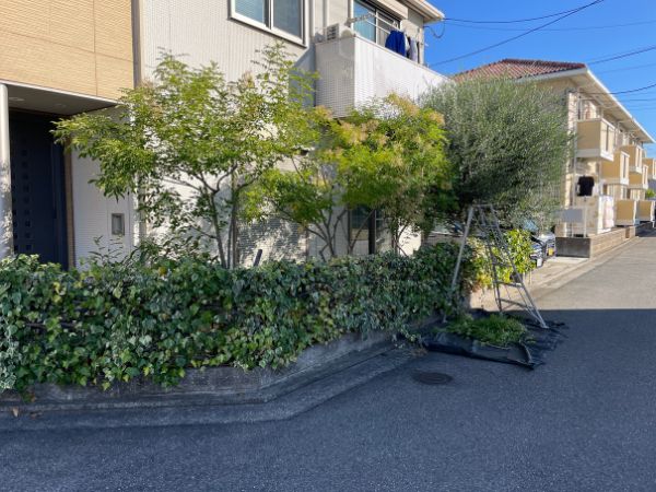 お庭の手入れ作業前の写真