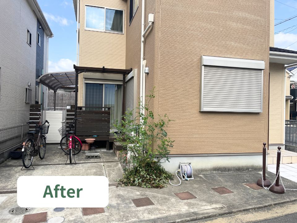寝屋川市のシンボルツリー（シマトネリコ）の剪定作業後の写真