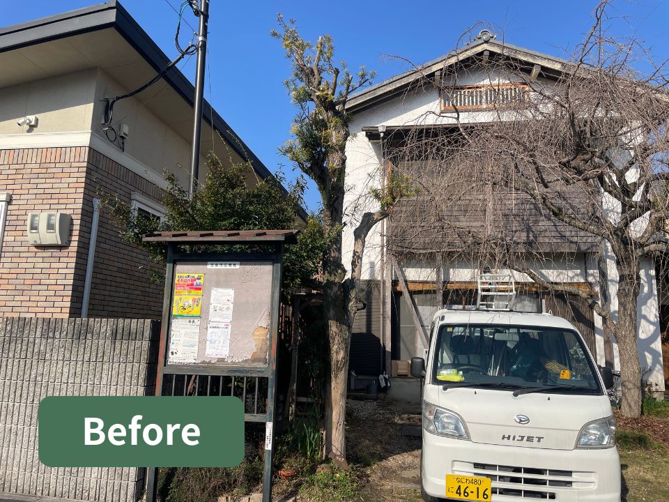 奈良市の個人宅のお庭のマキの木伐採作業前の写真