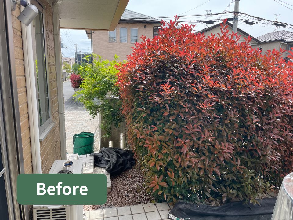 カーポート周辺のレッドロビンの剪定の作業前の写真