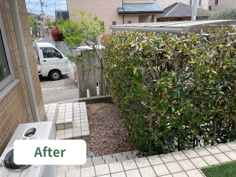 カーポート周辺のレッドロビンの剪定の作業後の写真