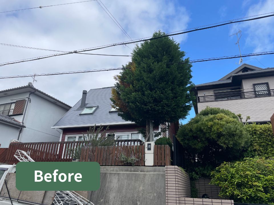 吹田市の個人宅の庭にある高くなりすぎた木（レイランディ）の強剪定作業前の写真