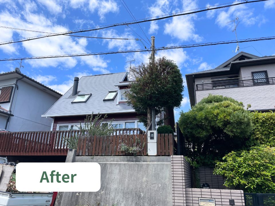 吹田市の個人宅の庭にある高くなりすぎた木（レイランディ）の強剪定作業後の写真
