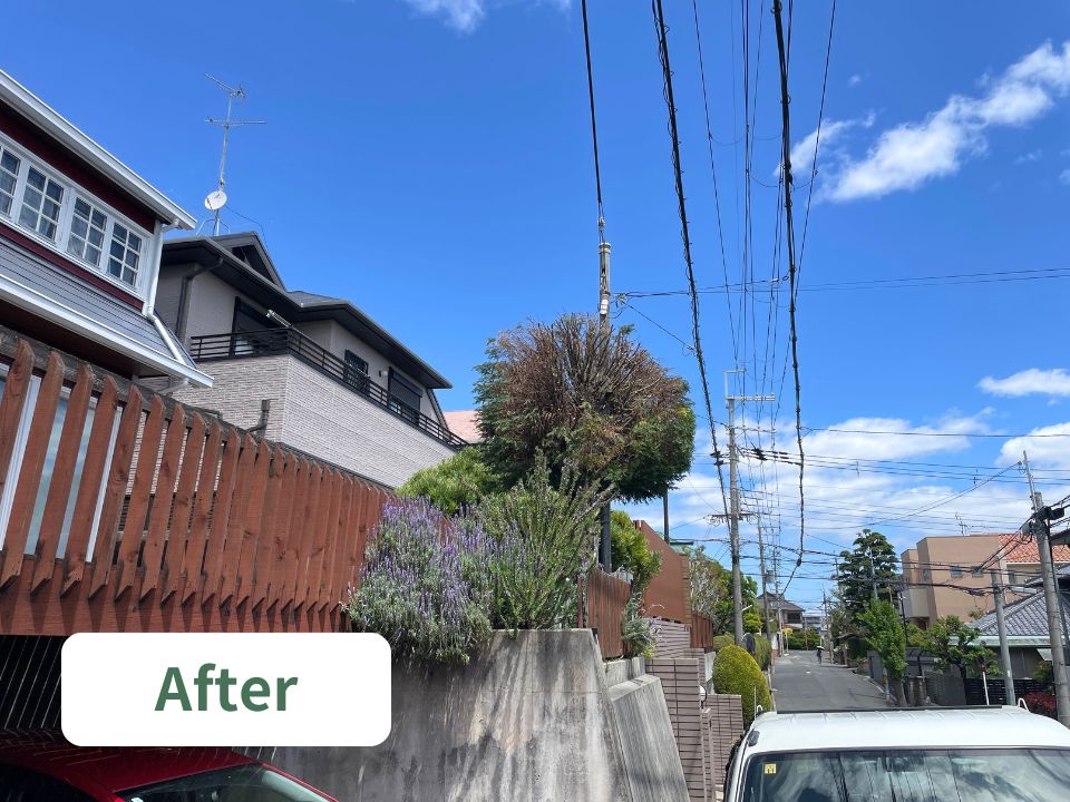 吹田市の個人宅の庭にある高くなりすぎた木（レイランディ）の強剪定作業後の写真
