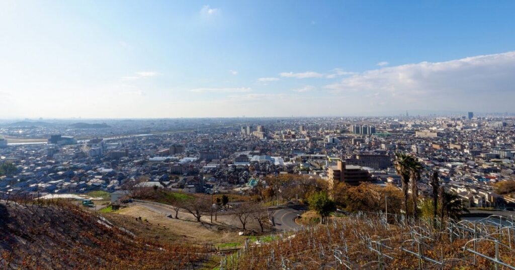 八尾市で剪定した枝はどう処分する？出し方ルールとラクな方法を解説