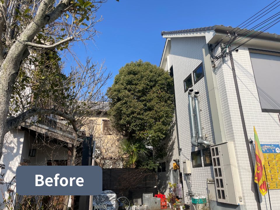 奈良県奈良市の個人宅の庭にある大木のクスノキ強剪定作業前の写真
