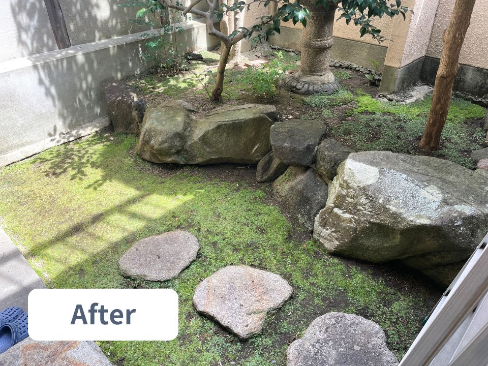阿倍野区の個人宅の坪庭の草抜き作業後の写真