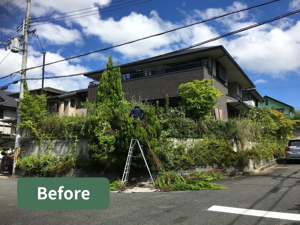 堺市の個人宅の庭木伐採作業前の写真