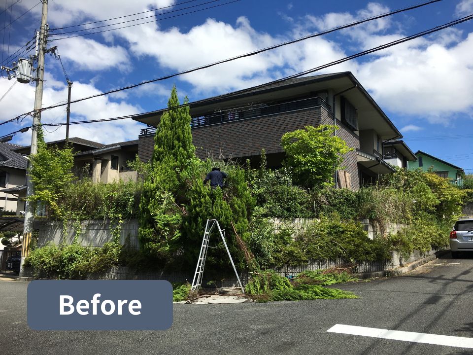 堺市の個人宅の庭木伐採作業前の写真