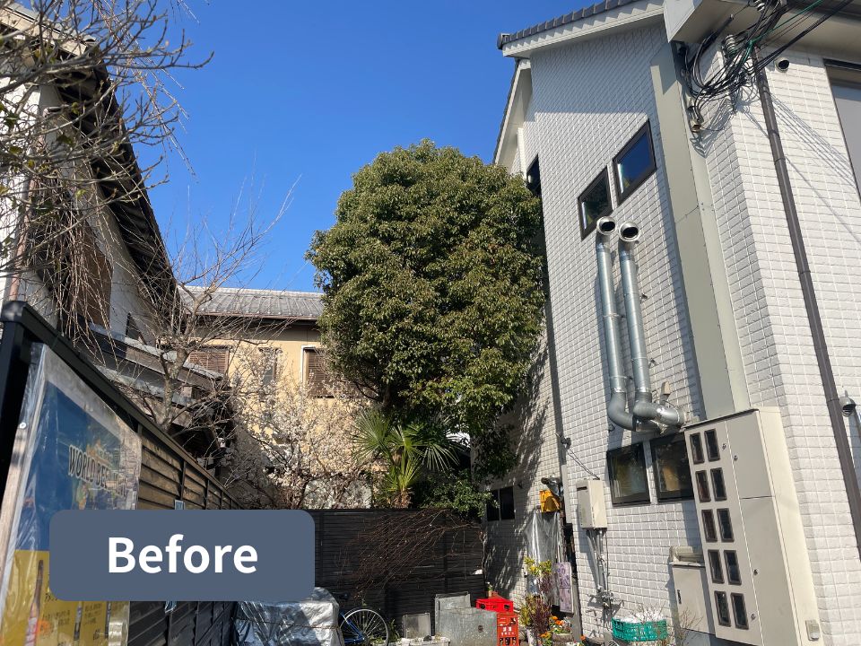 奈良市の個人宅の庭木剪定作業前の写真