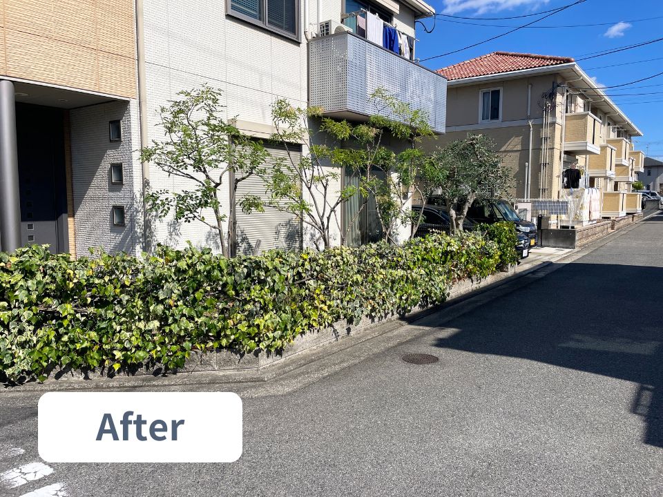 堺市の個人宅の庭木剪定作業後の写真